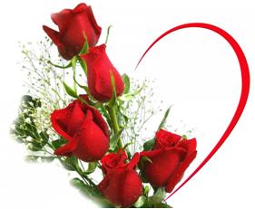 Tienda online para floristerias