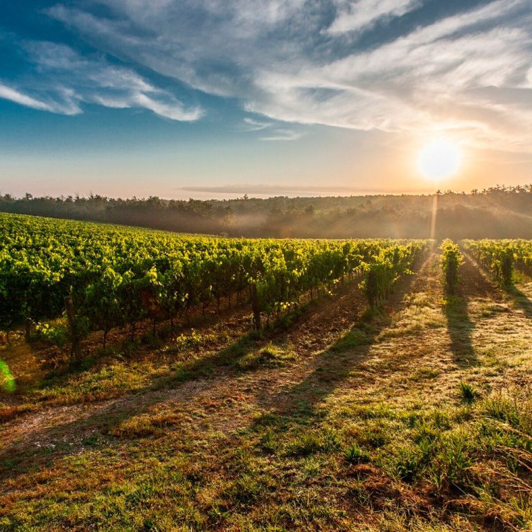 Producción agraria en La Rioja