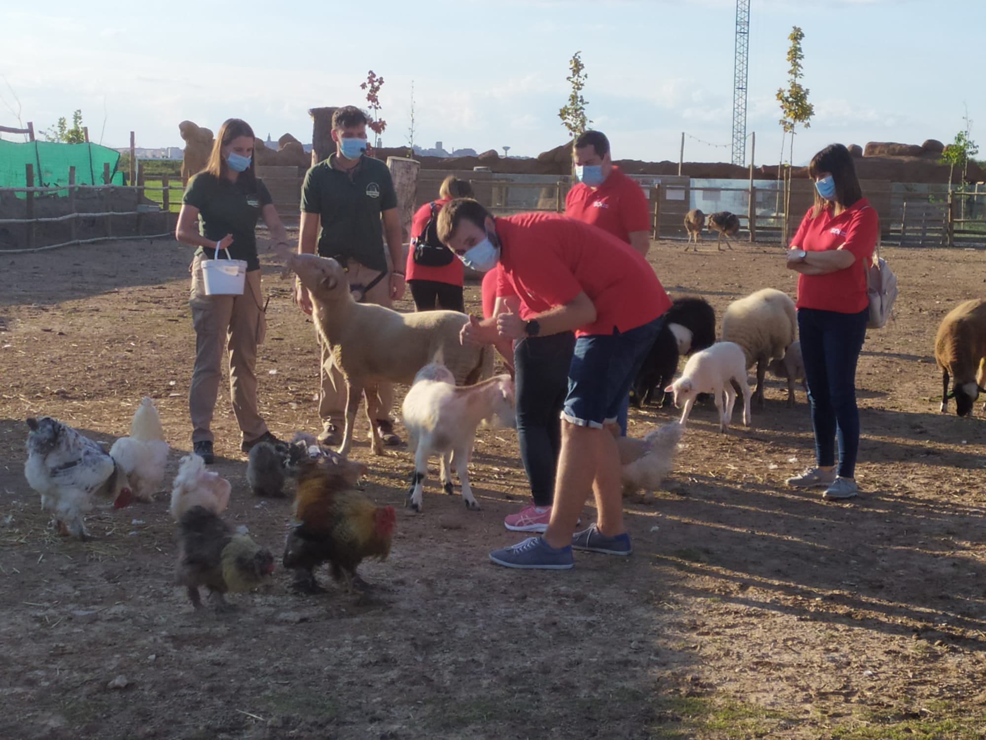 Tierra Rapaz acoge una jornada de trabajo de un equipo de SDi 1