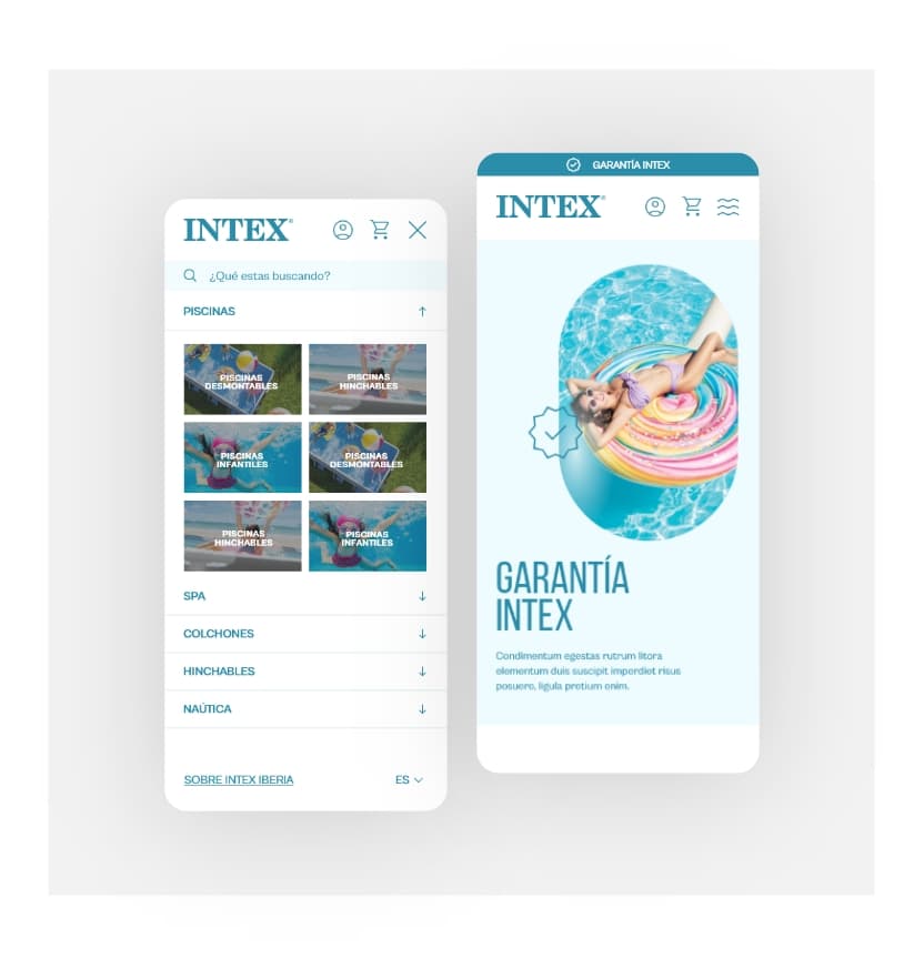 Intex 101